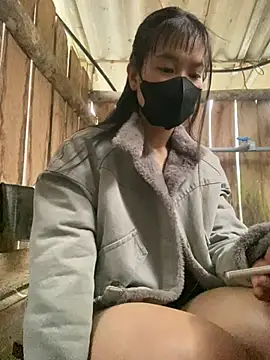 PhanHaa online show from 15, 1, 2026