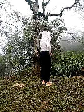 sulove xx online show from 20, 2, 2026