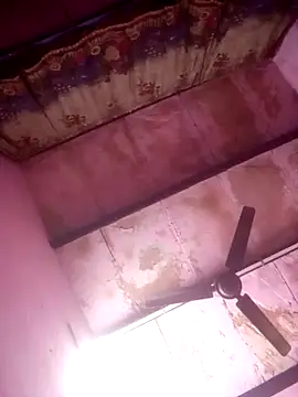 TINASONI online show from 1, 4, 2026