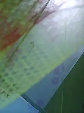 Snapshot of Apkisona8 chatting on 24, 9, 2025 Apkisona8 online show from 24, 9, 2025