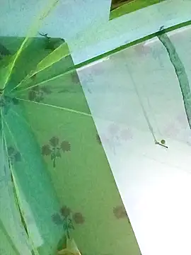 Apkisona8 online show from 18, 11, 2025