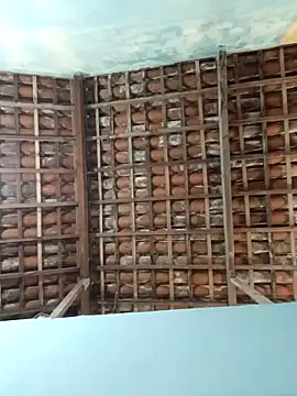 NegroAracaju online show from 19, 4, 2026