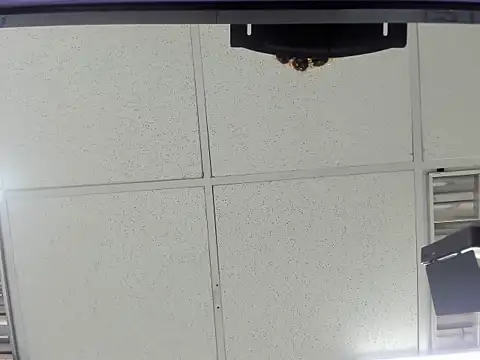 Aisha hotts777 online show from 20, 3, 2026