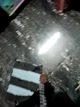 dolphiinn online show from 4, 12, 2025