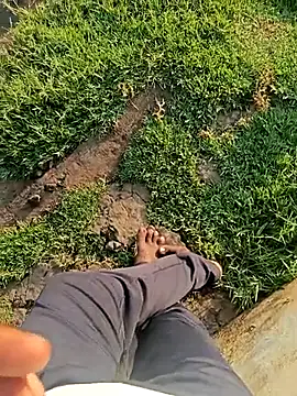 dolphiinn online show from 21, 3, 2026