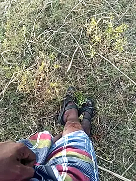 dolphiinn online show from 14, 7, 2026