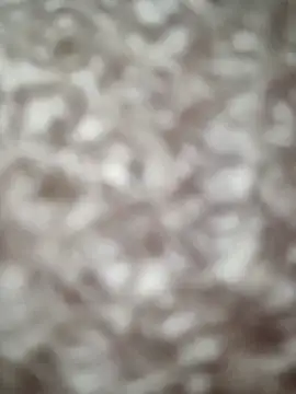 Markroco696 online show from 14, 9, 2025