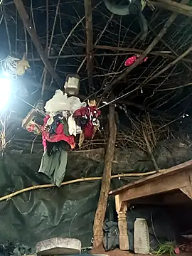 cute diya 12 online show from 5, 11, 2025