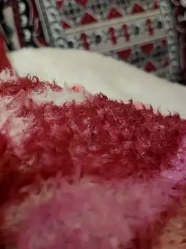 Hot modal online show from 28, 11, 2025