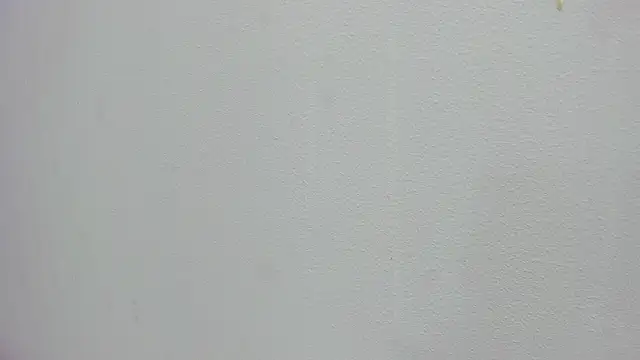 scarlett646 online show from 15, 11, 2025