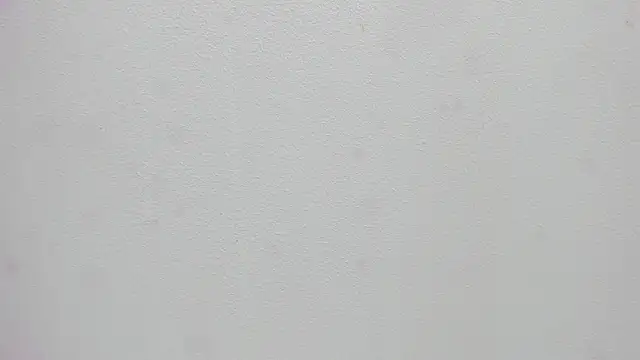 scarlett646 online show from 8, 1, 2026