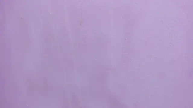 scarlett646 online show from 28, 2, 2026