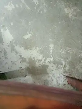 boyraj28 online show from 12, 4, 2026