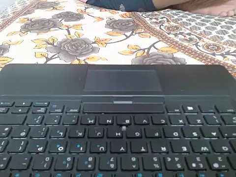 Vaani Singha online show from 20, 9, 2025