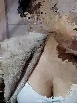 Binjt online show from 19, 11, 2025