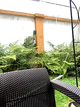 Jasmin Pink online show from 25, 9, 2025