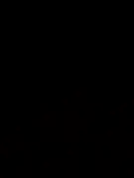 Jasmin Pink online show from 20, 11, 2025