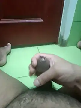 Snapshot of Geminis_95 chatting on 4, 2, 2026 Geminis 95 online show from 4, 2, 2026