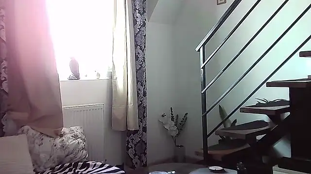 RyanStorm  online show from 12, 9, 2025