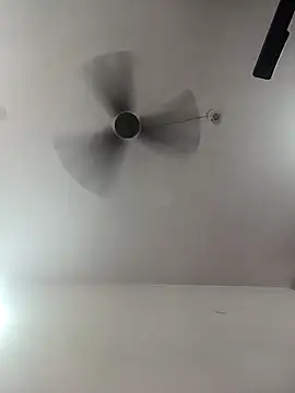 Appypie online show from 1, 10, 2025