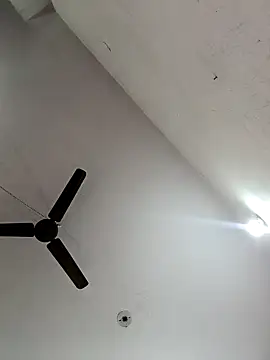 Appypie online show from 7, 11, 2025