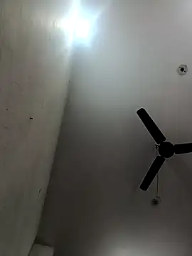 Appypie online show from 15, 12, 2025