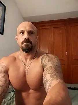 Visto36 online show from 13, 6, 2026