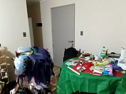 Gato2025perro online show from 15, 12, 2025