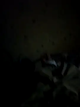 IncompatibleBean41 online show from 20, 9, 2025