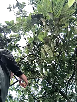 Snapshot of lamejorpene chatting on 5, 2, 2026 lamejorpene online show from 5, 2, 2026