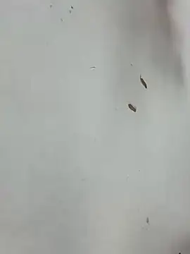 Snapshot of Baby-mmm chatting on 10, 1, 2026 Baby-mmm online show from 10, 1, 2026