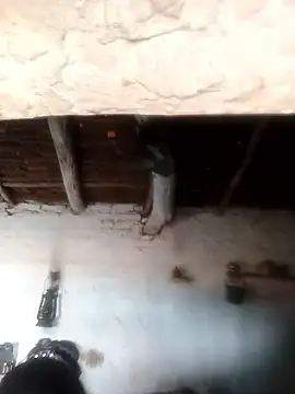 Sheema tyagi online show from 21, 10, 2025