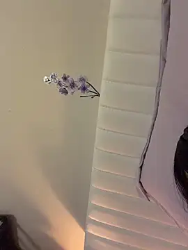 littiekitty online show from 14, 2, 2026