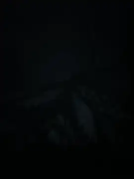 xxminou online show from 2, 7, 2026