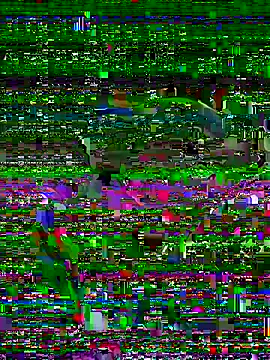 MrGivemethemost online show from 2, 11, 2025