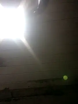 NegroArg 22 online show from 8, 9, 2025