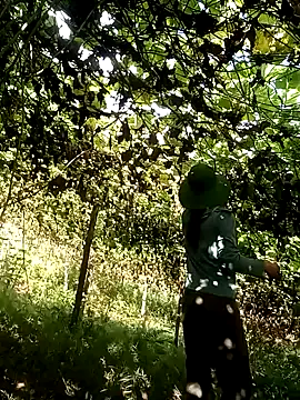 ngan-cute online show from 18, 10, 2025