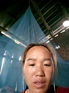 bing-bing88 online show from 11, 11, 2025