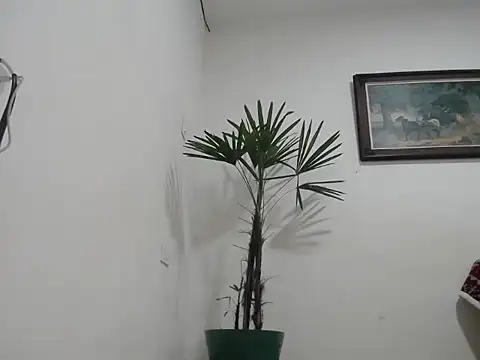 Snapshot of Young_handsome chatting on 11, 9, 2025 Young handsome online show from 11, 9, 2025