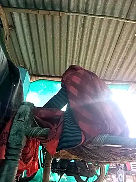 Snapshot of Hot-honi chatting on 8, 11, 2025 Hot-honi online show from 8, 11, 2025