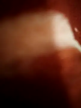 sexy  girls98 online show from 8, 11, 2025