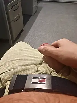 stunning stallion online show from 18, 4, 2026