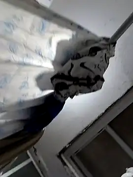 Exotic19cm online show from 10, 11, 2025