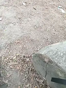 Snapshot of Dasdhon chatting on 18, 11, 2025 Dasdhon online show from 18, 11, 2025