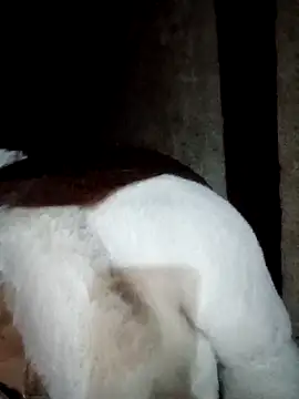 Phuong xxx online show from 12, 2, 2026