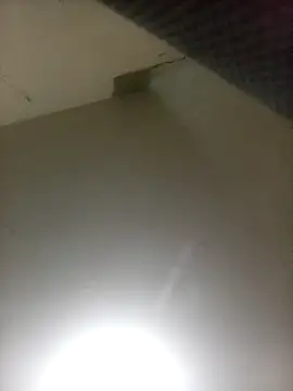 Bebicho14 online show from 7, 4, 2026