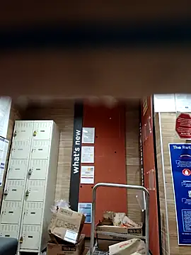 Dropdingo online show from 31, 10, 2025