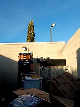 Dropdingo online show from 11, 11, 2025