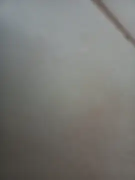 Jobson40 online show from 1, 11, 2025