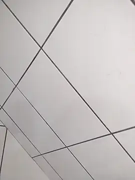 Novin23cms online show from 19, 12, 2025